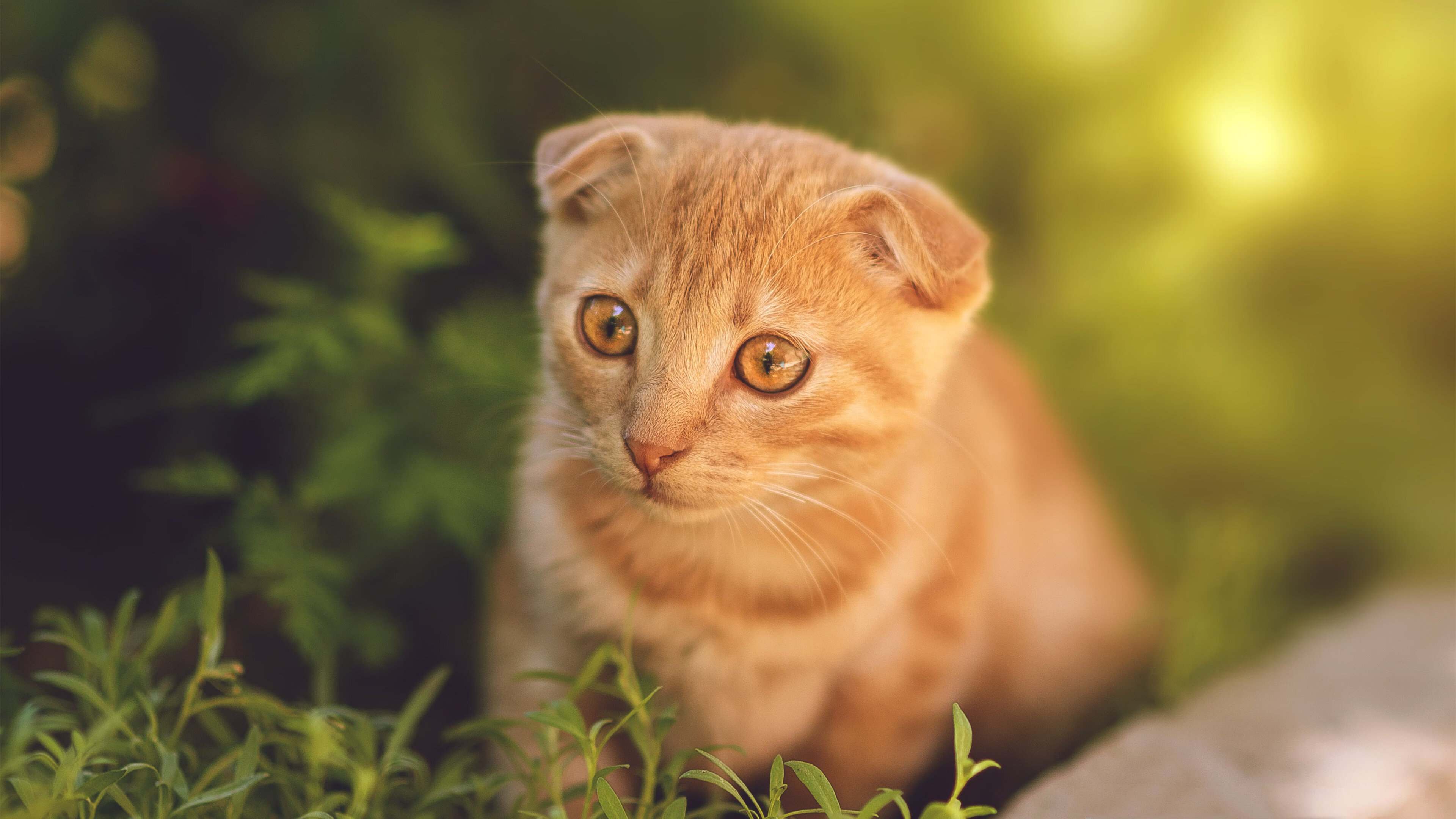 农村足球“特色”发展,助力乡村振兴战略深入落实,村级足球场 乡村振兴