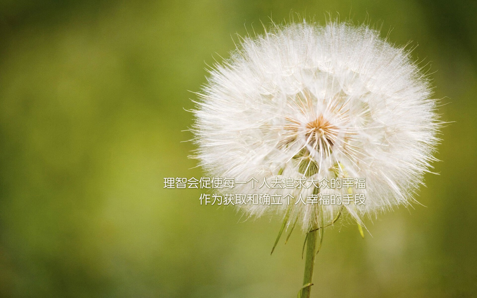 爱游戏官方-国家篮球联赛引入视频回放技术，提高判罚准确性，国家篮球比赛2020